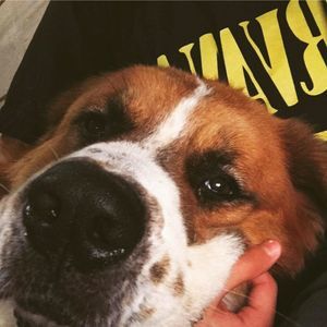 Meet your Posher, Alejandro